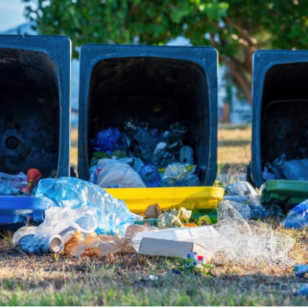 Residential Dumpster Rentals