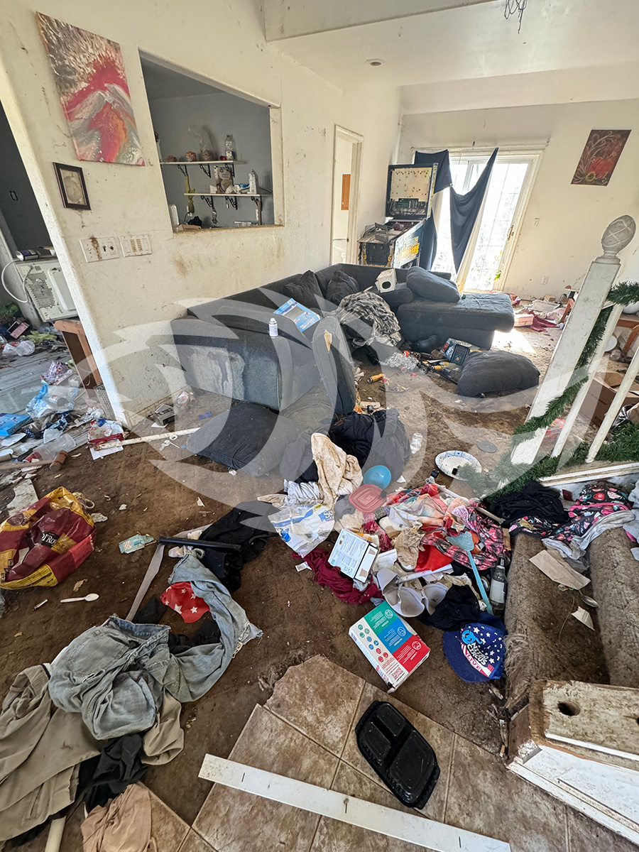 Property Cleanup