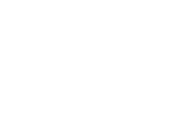 dumpster wasteops logo